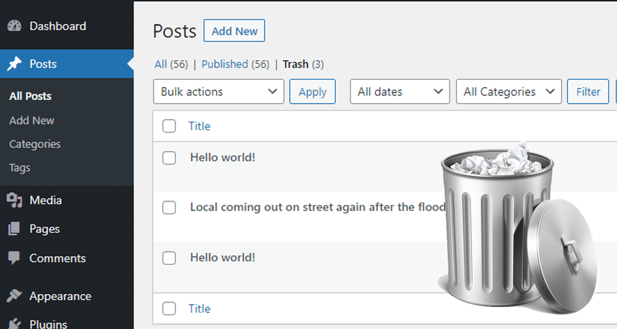 How to Adjust Automatically Empty Trash on WordPress