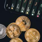 How to Buy Cardano Meme Coins on DEX (SNEK, BANK)